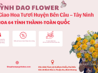 Giao hoa tươi Huyện Bến Cầu – Điện hoa uy tín, chuyên nghiệp tại Tây Ninh