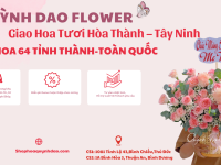 Giao Hoa Tươi Tại Hòa Thành – Tây Ninh: Dịch Vụ Uy Tín Từ Hoa Quỳnh Dao