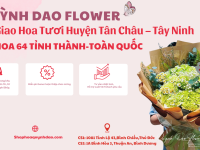 Giao Hoa Tươi Tại Huyện Tân Châu – Tây Ninh | Dịch Vụ Điện Hoa Uy Tín