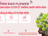 Giao Hoa Tươi Thống Nhất – Biên Hòa | Dịch Vụ Hoa Quỳnh Dao