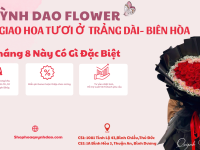 Giao Hoa Tươi Trảng Dài – Biên Hòa | Dịch Vụ Hoa Tươi Tận Tâm Từ Hoa Quỳnh Dao