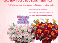 Giao Hoa Tươi Ở Bửu Long – Biên Hòa | Quỳnh Dao Flower Gửi Trọn Yêu Thương Qua Mỗi Bó Hoa