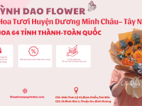 Giao hoa tươi Huyện Dương Minh Châu – Điện hoa tận nơi uy tín tại Tây Ninh