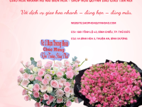 Giao Hoa Nhanh Tại Hố Nai – Biên Hòa | Shop Hoa Quỳnh Dao