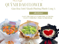 Giao Hoa Tươi Tận Nơi Phường Phước Long A – Thủ Đức | Shop Hoa Quỳnh Dao – Gửi Trọn Yêu Thương