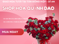GIAO HOA TƯƠI TẠI TÂN ĐÔNG HIỆP – DĨ AN | HOA QUỲNH DAO GIAO NHANH 2H