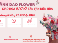 Giao Hoa Tân Vạn – Biên Hòa | Hoa Quỳnh Dao – Đặt Hoa Online, Giao Nhanh Tận Nơi