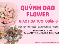 SHOP HOA QUẬN 6 – HOA TƯƠI GỬI GẮM TRỌN TÌNH YÊU VÀ CẢM XÚC