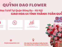 Giao Hoa Tươi Tại Quận Đống Đa – Hà Nội