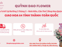 Giao Hoa Tươi Tại Đường 3 Tháng 2 – Ninh Kiều, Cần Thơ | Shop Hoa Quỳnh Dao