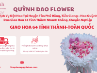 Dịch Vụ Đặt Hoa Tại Huyện Tân Phú Đông, Tiền Giang – Hoa Quỳnh Dao Giao Hoa 64 Tỉnh Thành Nhanh Chóng, Chuyên Nghiệp