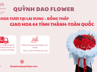 Giao Hoa Tươi Tại Lai Vung – Đồng Tháp | Hoa Quỳnh Dao Nhận Giao Hoa 64 Tỉnh Thành Nhanh Chóng