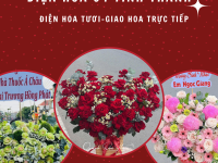 DỊCH VỤ ĐIỆN HOA 64 TỈNH THÀNH TOÀN QUỐC – QUỲNH DAO FLOWER