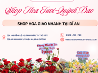 SHOP HOA GIAO NHANH TẠI DĨ AN – HOA ĐẸP, GIAO ĐÚNG HẸN, MẪU CHUẨN