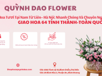 Hoa Quỳnh Dao – Điểm đến tin cậy cho dịch vụ giao hoa tươi tại Nam Từ Liêm