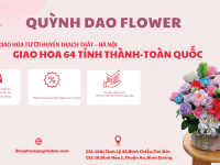 DỊCH VỤ GIAO HOA TƯƠI HUYỆN THẠCH THẤT – HÀ NỘI