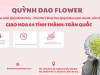Dịch vụ giao hoa tươi tại Quận Bình Thủy – Cần Thơ | Shop Hoa Quỳnh Dao