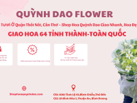 Giao Hoa Tươi Ở Quận Thốt Nốt, Cần Thơ – Shop Hoa Quỳnh Dao Giao Nhanh, Hoa Đẹp, Giá Tốt