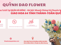 Giao hoa tươi Quận Hà Đông Hà Nội – Dịch vụ nhanh chóng, uy tín tại Shop Hoa Quỳnh Dao