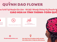 Giao Hoa Tươi Huyện Gia Lâm – Hà Nội | Shop Hoa Quỳnh Dao