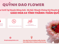 Giao hoa tươi uy tín tại Huyện Đông Anh, Hà Nội