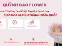 Giao hoa tươi Huyện Thường Tín – Hà Nội | Shop Hoa Quỳnh Dao