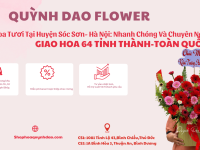 Giao hoa tươi uy tín tại Huyện Sóc Sơn, Hà Nội