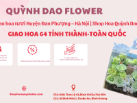 Giao hoa tươi Huyện Đan Phượng – Hà Nội | Shop Hoa Quỳnh Dao