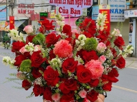  Giao Hoa Tươi Bình Chánh – Quỳnh Dao Flower Gửi Trọn Tình Yêu Qua Những Đóa Hoa