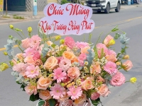 Giao Hoa Tươi Tại Phường Tam Phú, TP. Thủ Đức – Shop Hoa Quỳnh Dao Giao Nhanh Trong Ngày