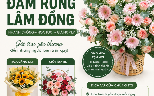Dịch Vụ Giao Hoa Tại Đam Rông Lâm Đồng Uy Tín Cùng Shop Hoa Quỳnh Dao