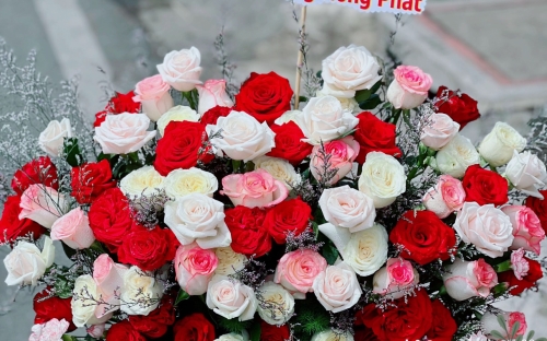 Tận hưởng Sự Tươi Mát với Hoa Tươi Tại shophoaquynhdao.com