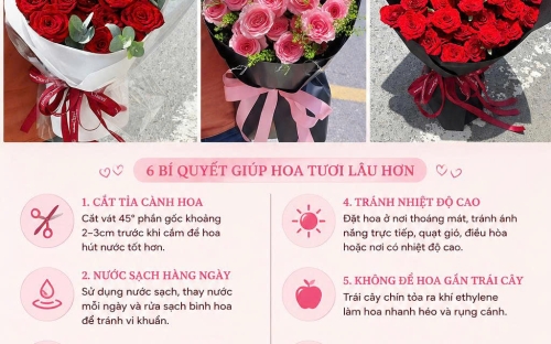 Cách Chăm Hoa Tươi Lâu – Bí Quyết Giữ Hoa Luôn Rực Rỡ Và Bền Đẹp