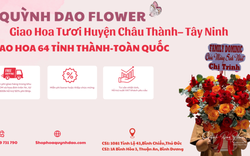Giao Hoa Tươi Tại Huyện Châu Thành – Tây Ninh | Dịch Vụ Điện Hoa Nhanh & Uy Tín Từ Hoa Quỳnh Dao