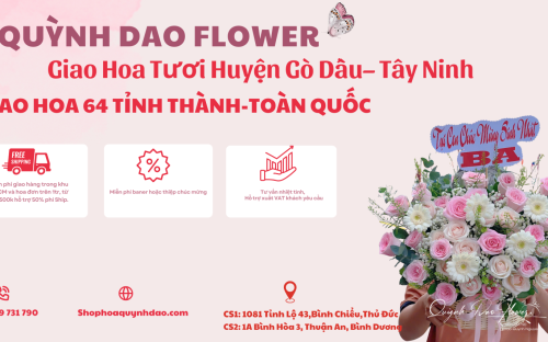 Giao Hoa Tươi Huyện Gò Dầu – Dịch Vụ Điện Hoa Uy Tín Tại Tây Ninh