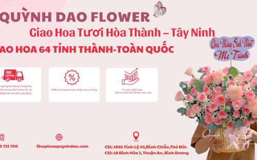 Giao Hoa Tươi Tại Hòa Thành – Tây Ninh: Dịch Vụ Uy Tín Từ Hoa Quỳnh Dao
