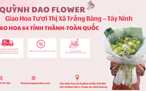 Giao Hoa Tươi Thị Xã Trảng Bàng – Tây Ninh | Hoa Quỳnh Dao