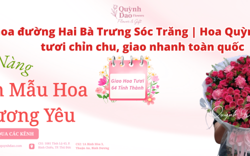 Giao hoa đường Hai Bà Trưng Sóc Trăng | Hoa Quỳnh Dao – Hoa tươi chỉn chu, giao nhanh toàn quốc