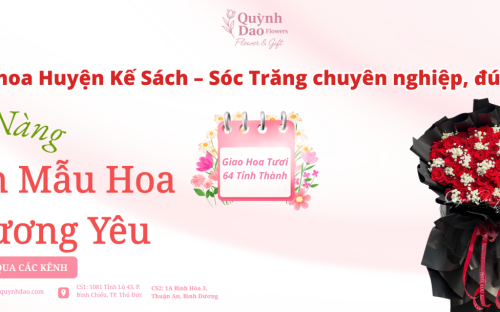 Giao hoa Huyện Kế Sách – Sóc Trăng chuyên nghiệp, đúng hẹn