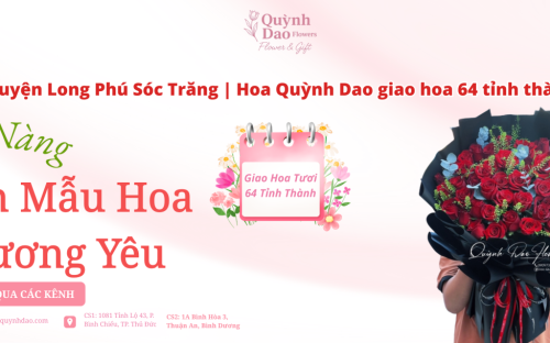 Giao hoa Huyện Long Phú Sóc Trăng | Hoa Quỳnh Dao giao hoa 64 tỉnh thành nhanh chóng
