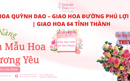 SHOP HOA QUỲNH DAO – GIAO HOA ĐƯỜNG PHÚ LỢI SÓC TRĂNG | GIAO HOA 64 TỈNH THÀNH