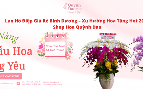 LAN HỒ ĐIỆP GIÁ RẺ BÌNH DƯƠNG – XU HƯỚNG HOT 2026