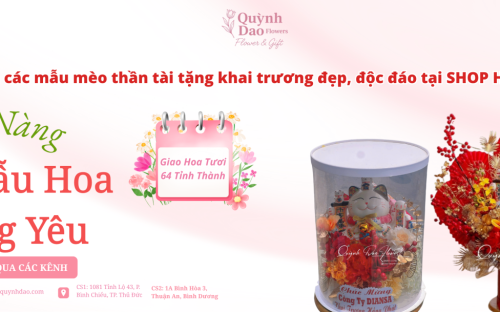 Mèo thần tài tặng khai trương – Xu hướng quà tặng phong thủy được ưa chuộng