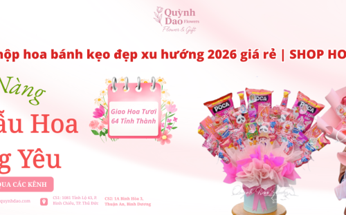 Tổng hợp 100+ bó hoa bánh kẹo đẹp, hộp hoa bánh kẹo xu hướng 2026 giá rẻ tại SHOP HOA QUỲNH DAO
