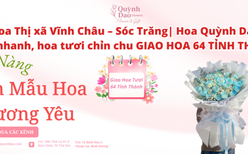 Giao hoa Thị xã Vĩnh Châu – Sóc Trăng | Hoa Quỳnh Dao giao hoa tươi chuyên nghiệp, đúng hẹn