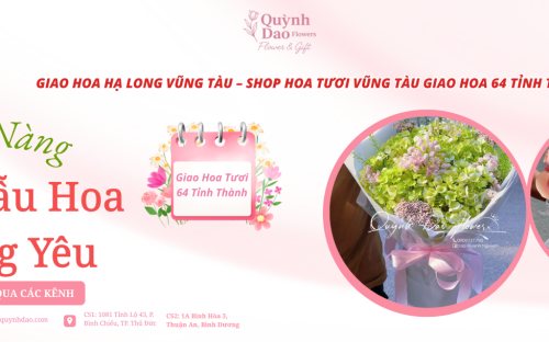 GIAO HOA HẠ LONG VŨNG TÀU – SHOP HOA TƯƠI VŨNG TÀU GIAO HOA 64 TỈNH THÀNH – SHOP HOA QUỲNH DAO