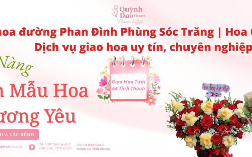 Giao hoa đường Phan Đình Phùng Sóc Trăng | Hoa Quỳnh Dao – Dịch vụ giao hoa uy tín, chuyên nghiệp