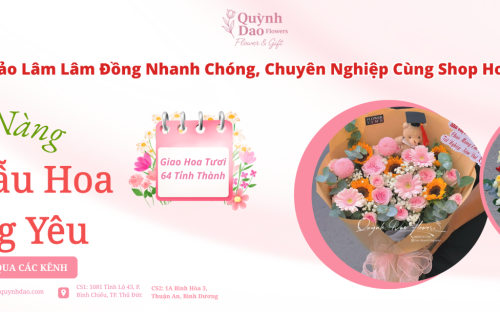 Giao Hoa Ở Bảo Lâm Lâm Đồng Nhanh Chóng, Chuyên Nghiệp Cùng Shop Hoa Quỳnh Dao