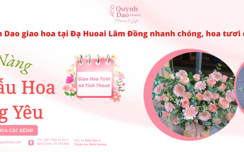 Dịch Vụ Giao Hoa Tại Đạ Huoai Lâm Đồng Uy Tín Cùng Shop Hoa Quỳnh Dao