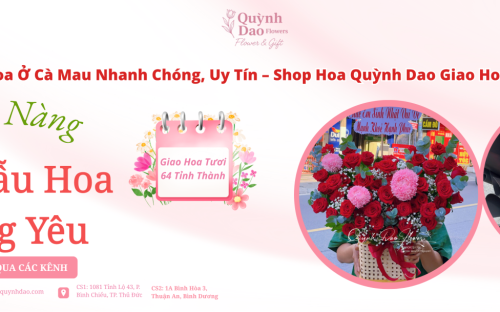 Giao Hoa Ở Cà Mau Nhanh Chóng, Uy Tín Cùng Shop Hoa Quỳnh Dao